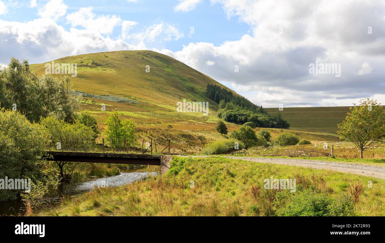 Old bridge over Megget water which feeds into Megget Reservoir in the Scottish Borders Stock Photo