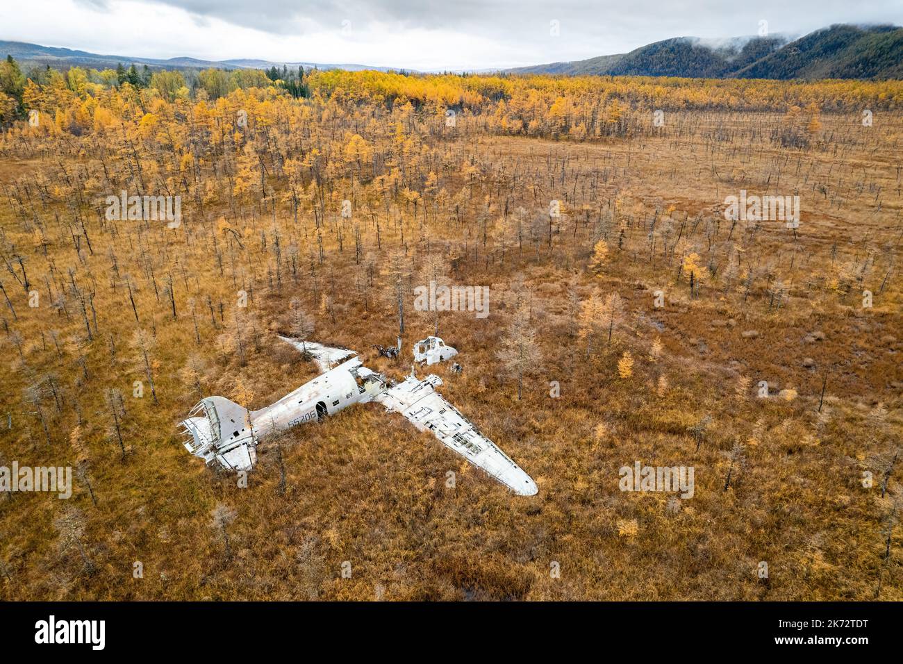 Abandoned wreck plane in a swamp surraunded by larches in Russia.  Autumn photo Stock Photo