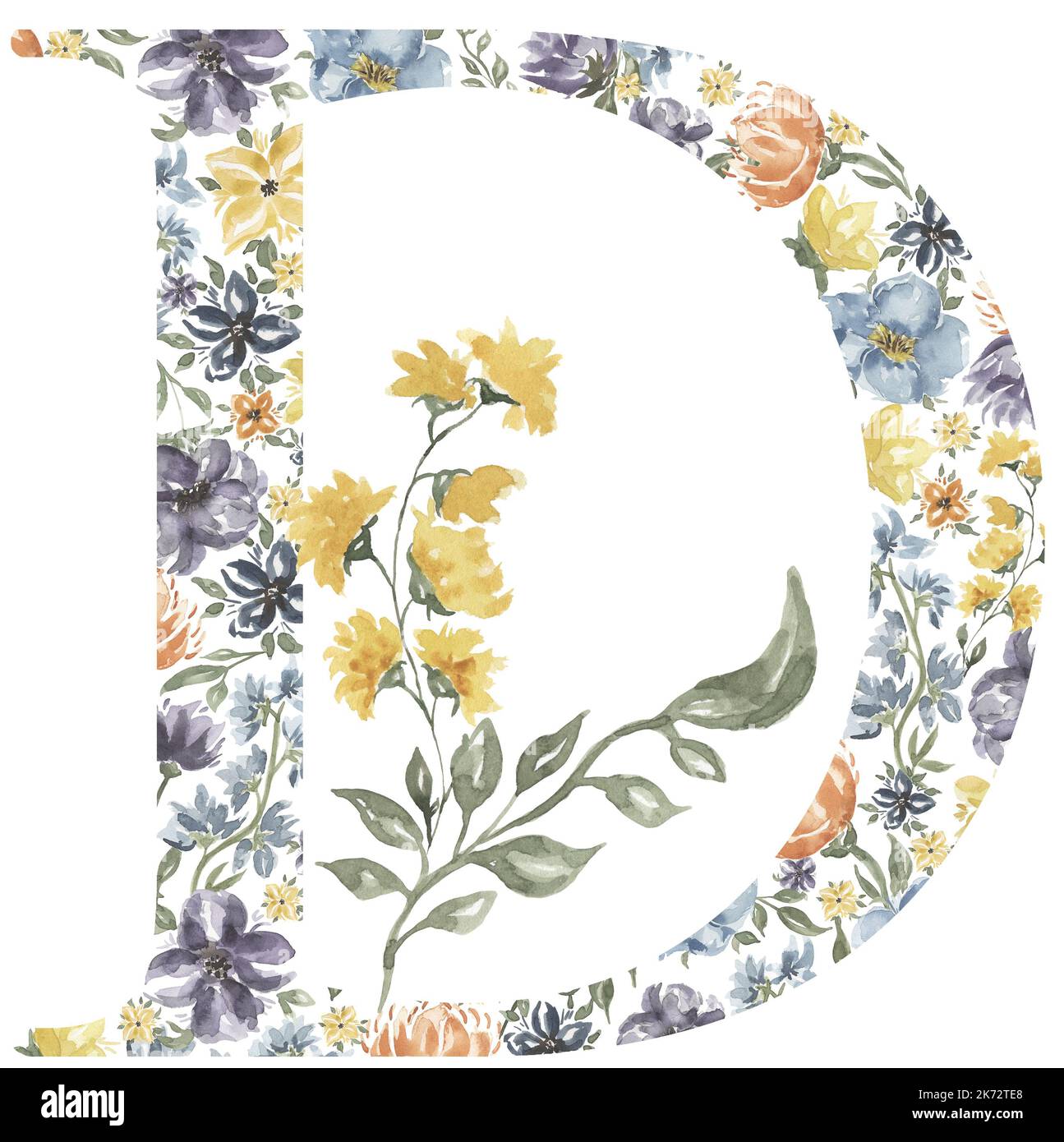 Wildflowers D letter clipart, Blossom Alphabet Design. Watercolor Floral monogram illustration isolated on white background. Stock Photo