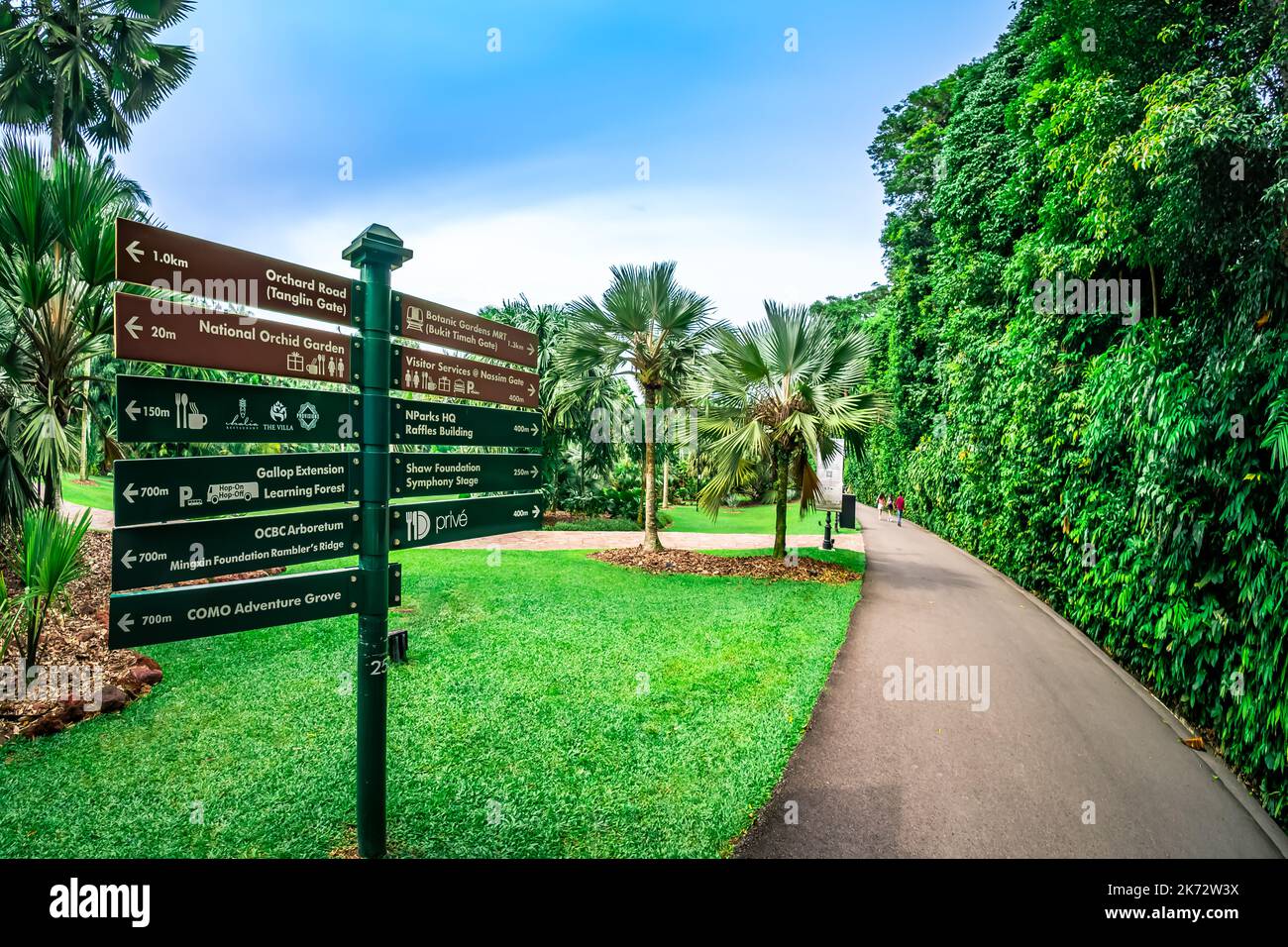 The Singapore Botanic Gardens is a 163-year-old tropical garden located