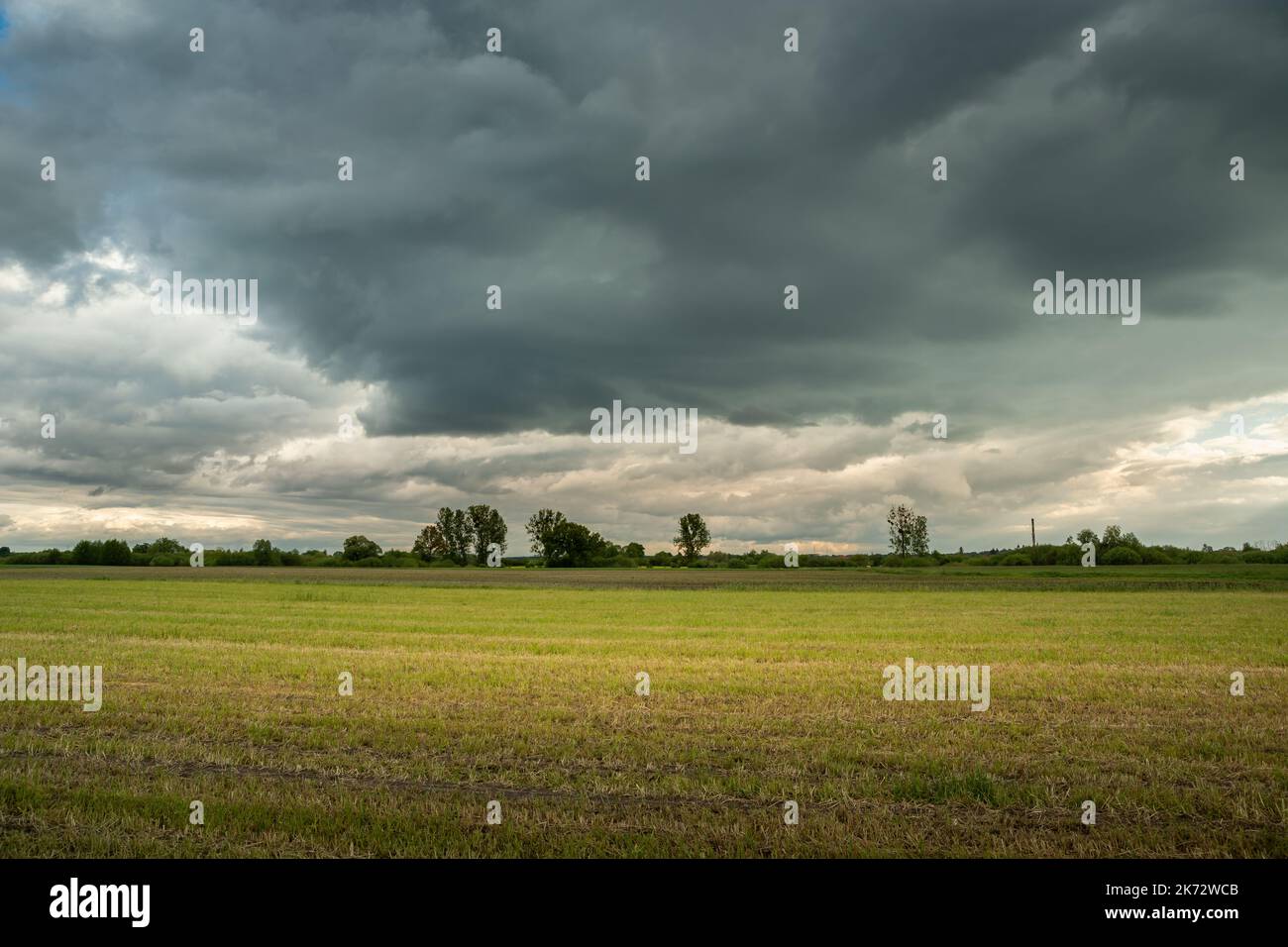 A stubble field and rainy clouds on the sky Stock Photo