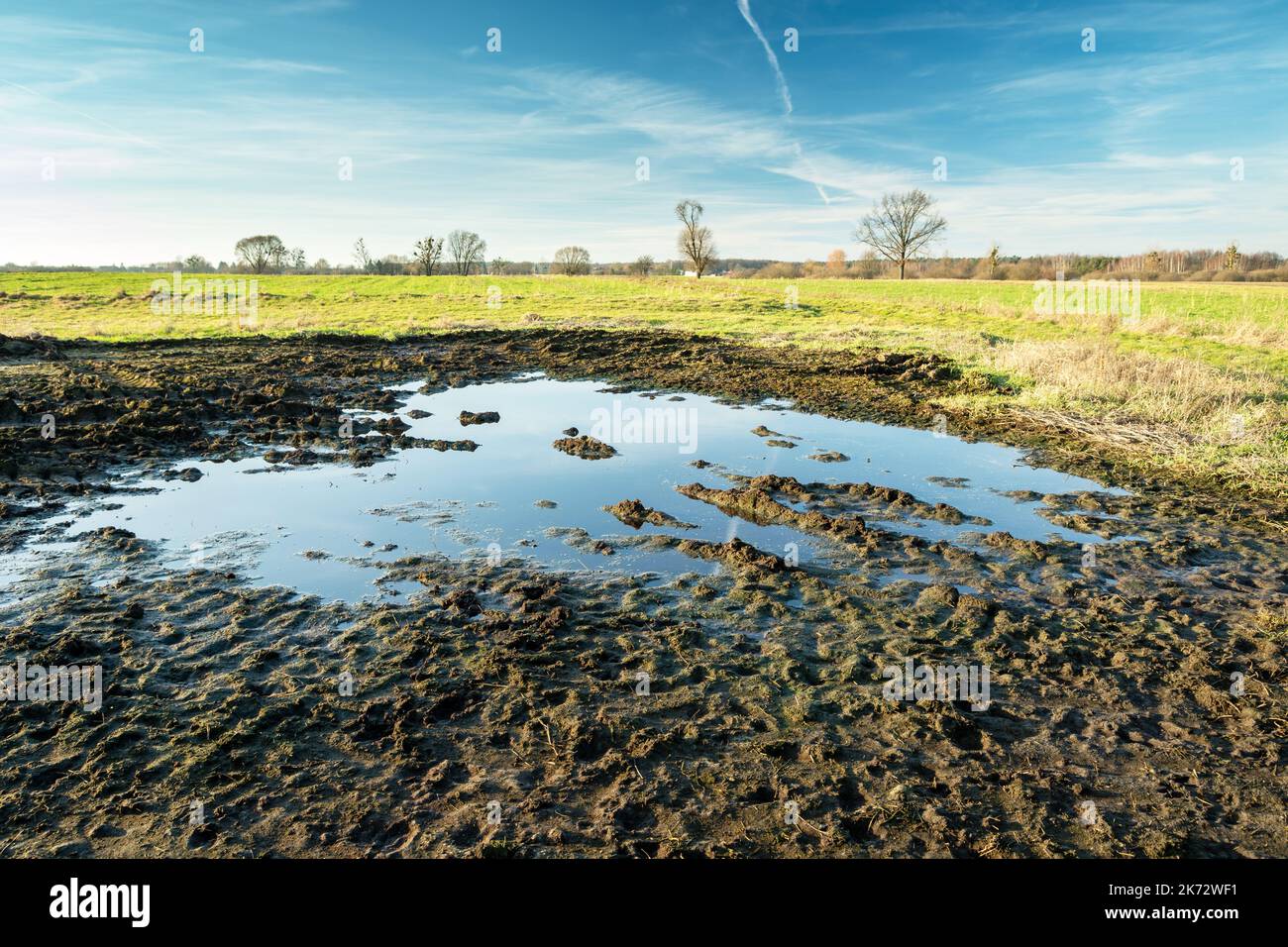 Water and mud in the meadow, the horizon and clouds on the sky Stock Photo