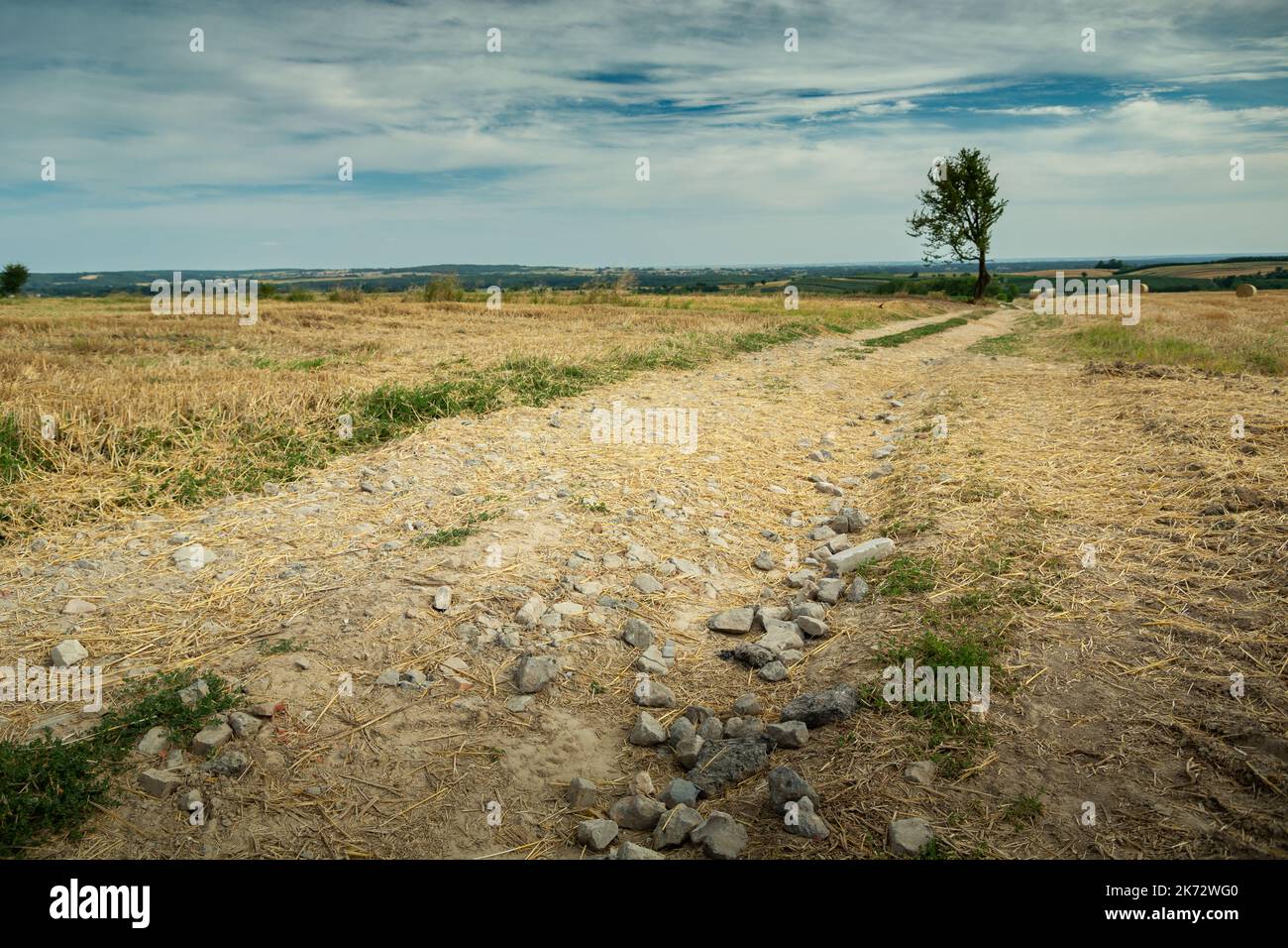 Stones on a dirt road through the fields Stock Photo