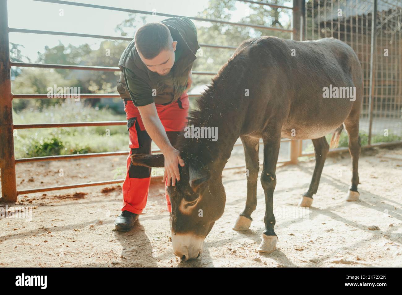 Caretaker with down syndrome taking care of animals in zoo, stroking donkey. Concept of