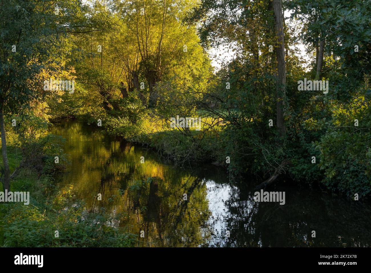 Evening mood at river Schwalm at Lower Rhine in Germany in autumn back light Stock Photo
