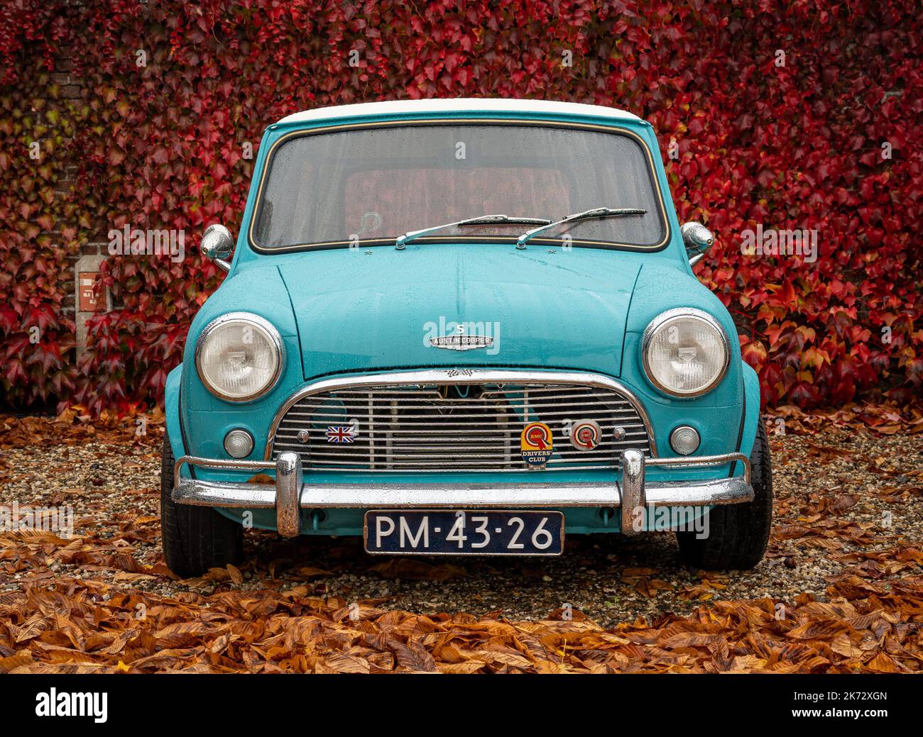 Brummen, Province Gelderland, The Netherlands, 15.10.2022, Front view of classic car BMC Austin Cooper S from 1964 in blue color Stock Photo