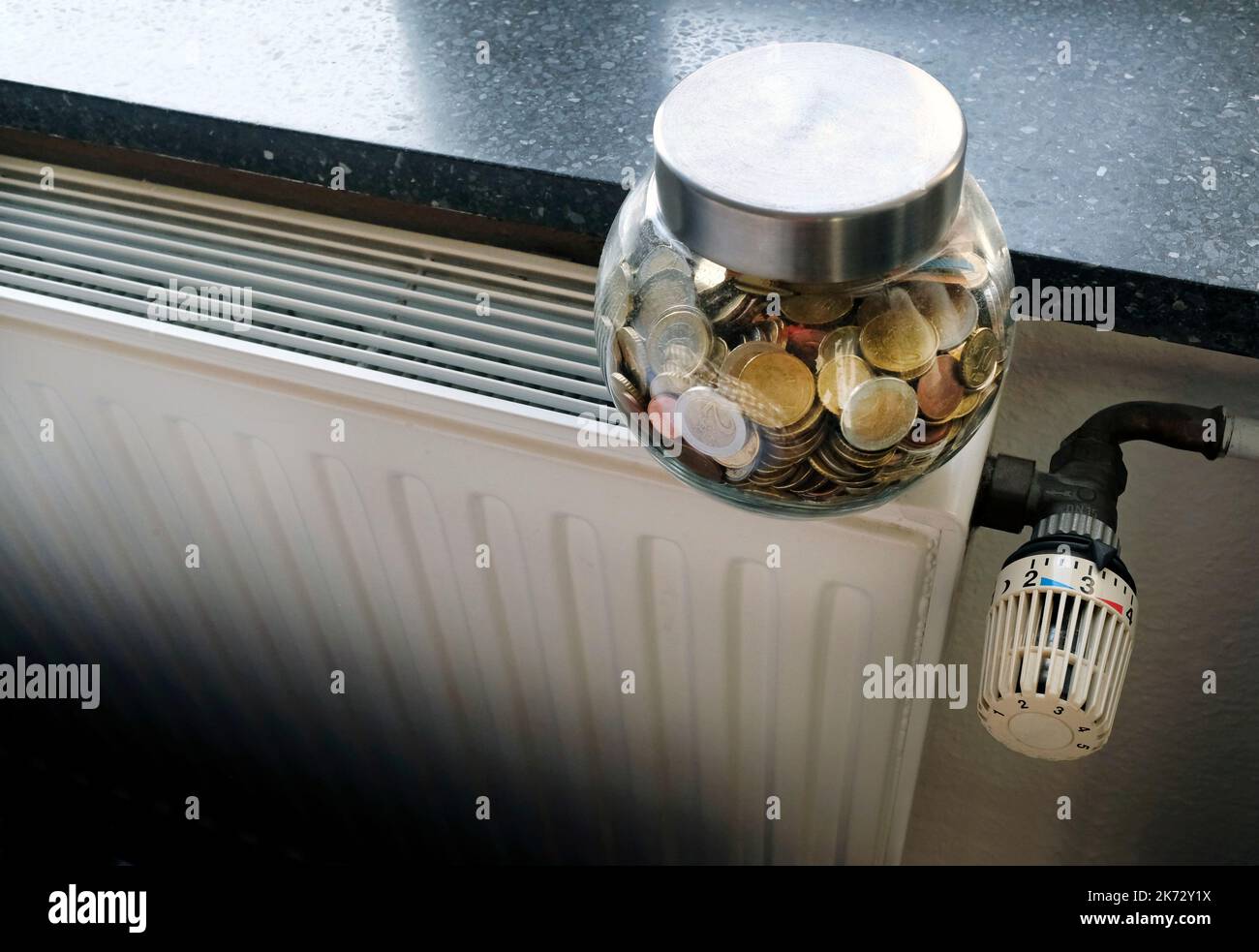 Controlling the heating costs radiator control and Euro bills on the