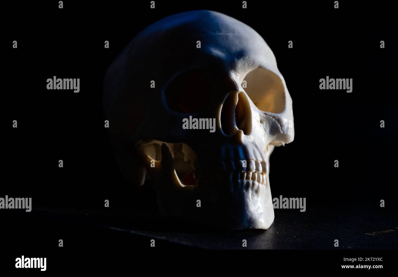 scary human skull horror Halloween Stock Photo