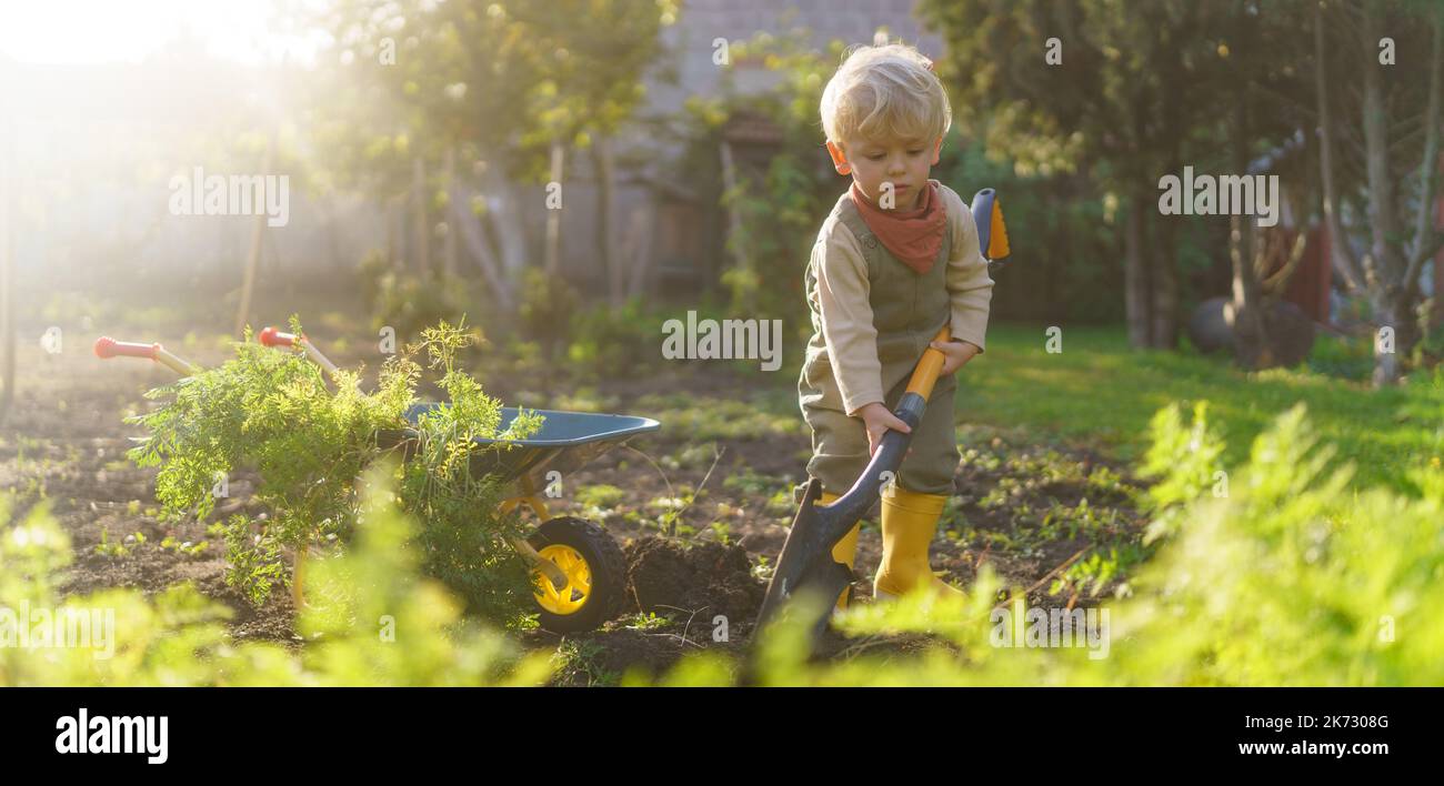 Spade soil digging hi-res stock photography and images - Alamy