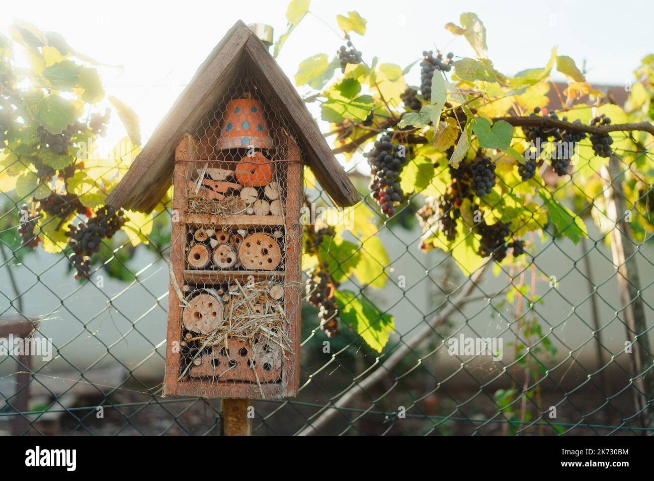 Insect house hanging in the garden, concept of ecology gardening and sustainable lifestyle. Stock Photo