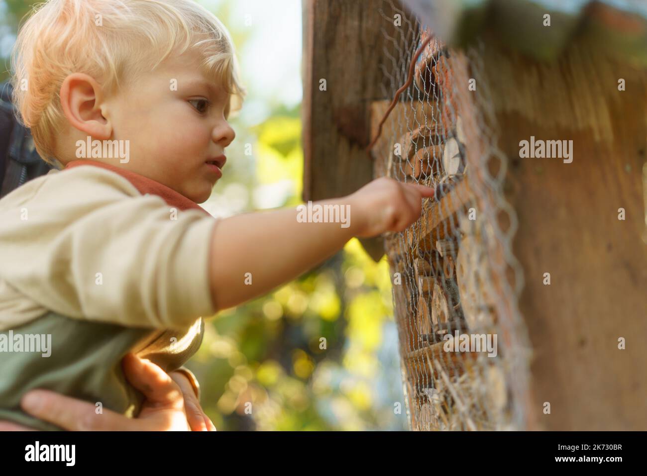 Little boy looking at insect hotel. Concept of home education, ecology gardening and sustainable lifestyle. Stock Photo