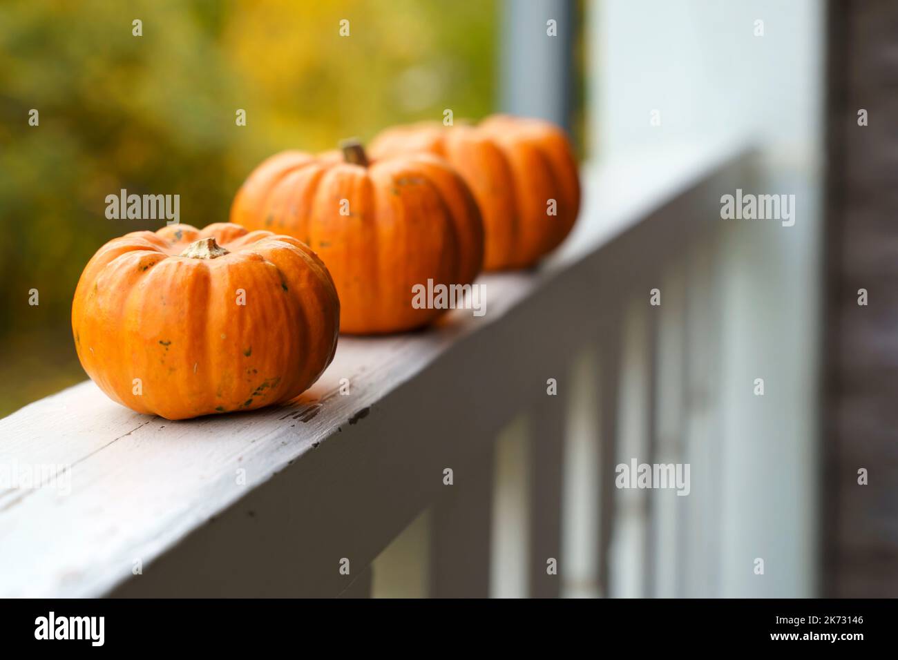 Autumn background. Pumpkins for decor and home decoration for Halloween and Thanksgiving. October, November, atmosphere and autumn mood concept. High quality photo Stock Photo