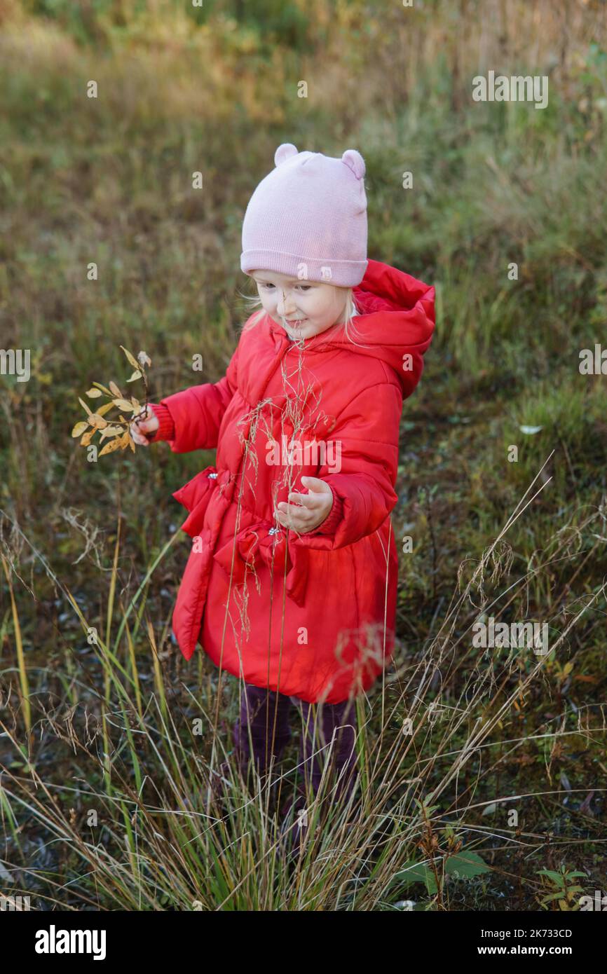 A little girl in a red coat walks in nature in an autumn grove. The ...