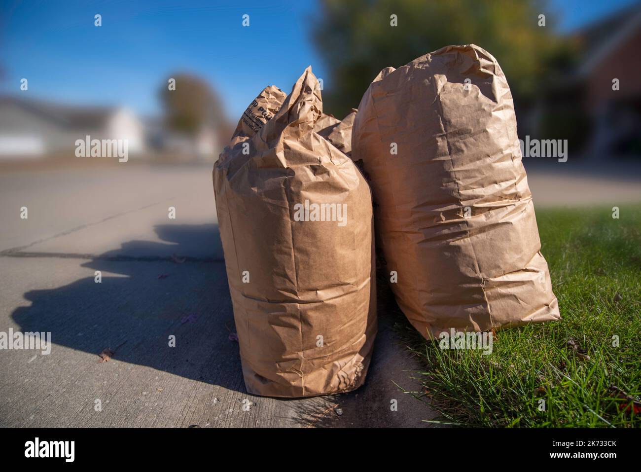 Tan kraft paper double walled lawn and leaf bags full of yard waste sit on street curb waiting to be picked up by waste hauler and transported to comp Stock Photo