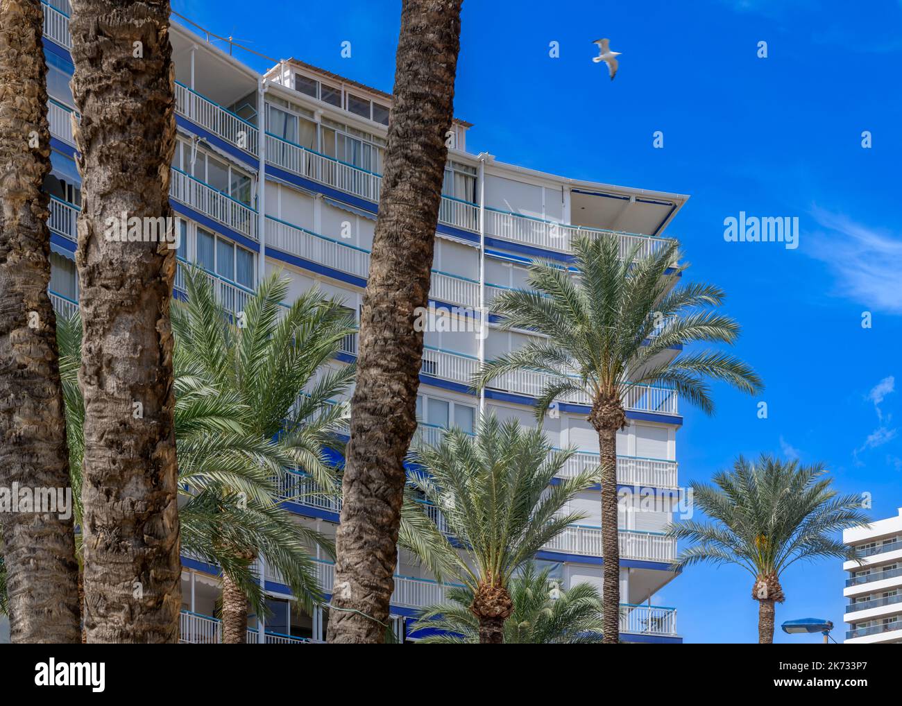 Apartments on the popular, seafront, promenade and beaches on Levante