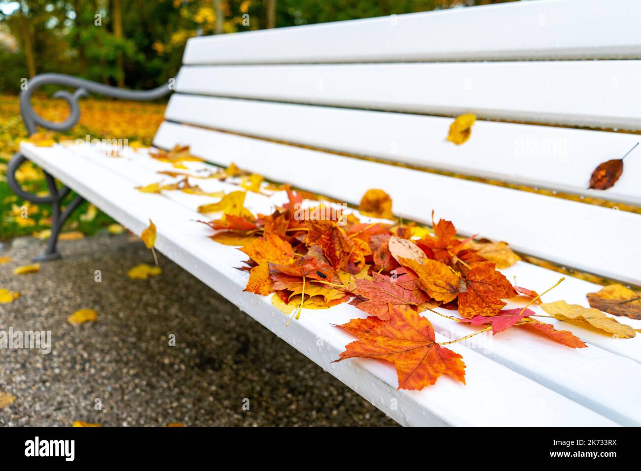 Park bench with autumn leaves Stock Photo