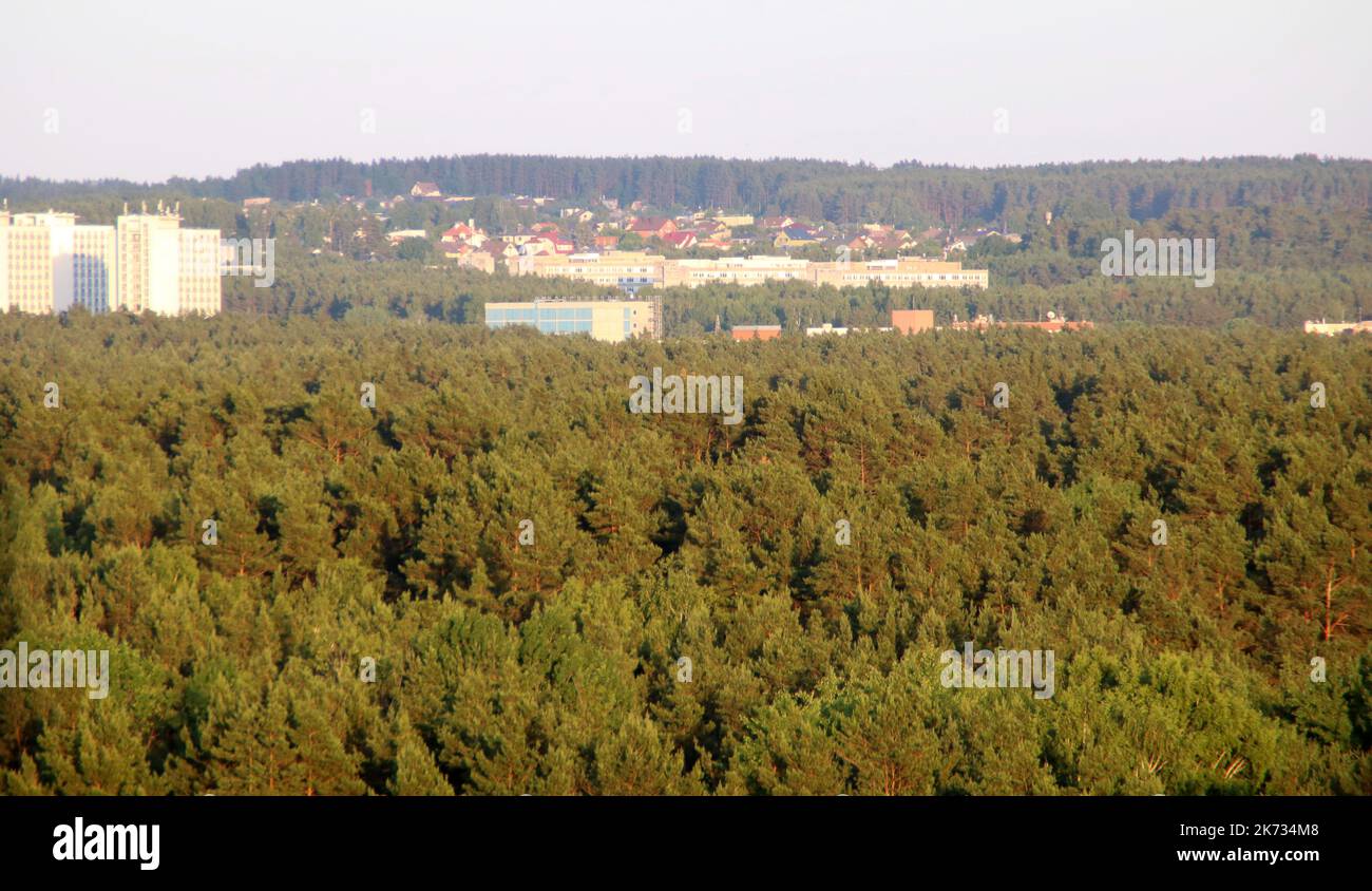 Tree trees wood topview hi-res stock photography and images - Alamy