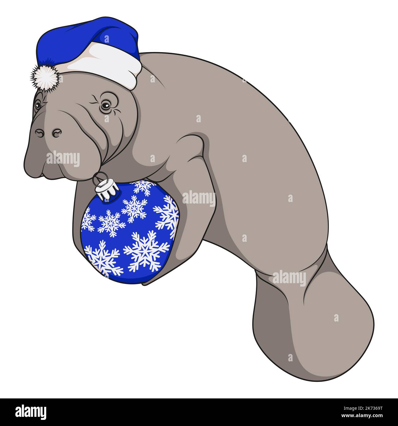 Color illustration with manatee, sea cow in blue Christmas hat with Christmas tree toy. Isolated vector object on white background. Stock Vector