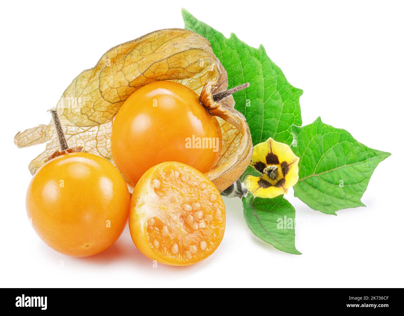 Ripe physalis or golden berry fruits with leaves and flower isolated on white background. Stock Photo