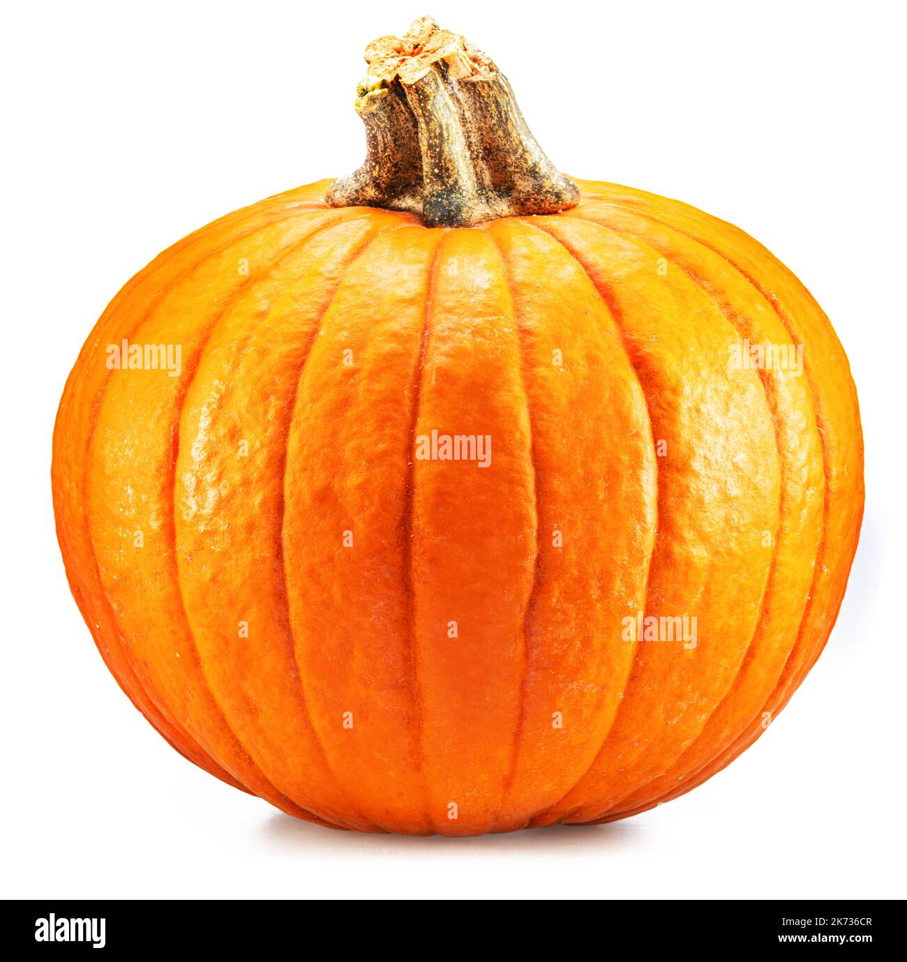 Orange round pumpkin, symbol of Halloween isolated on white background. Stock Photo
