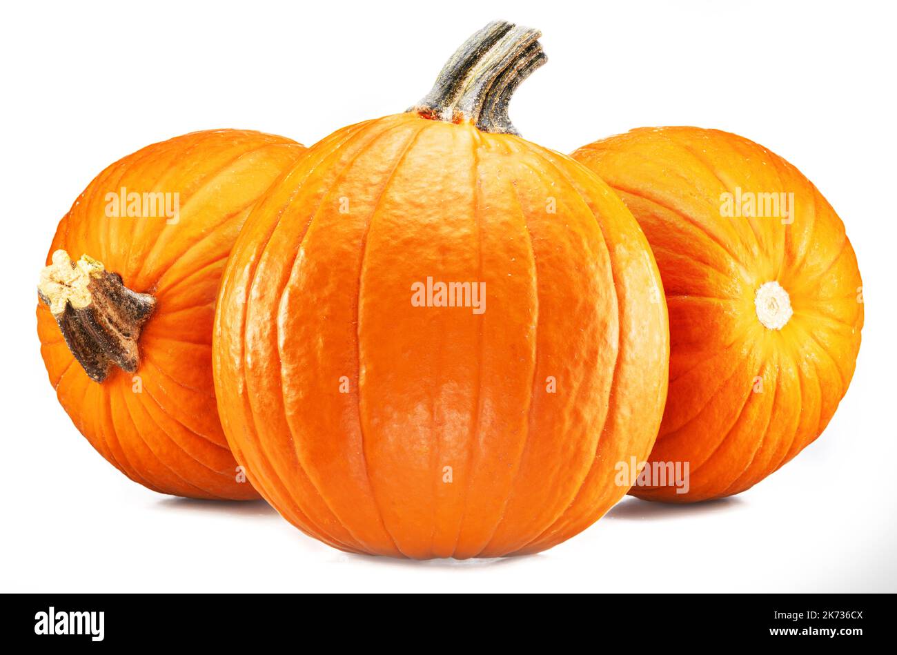 Three orange round pumpkins, symbol of Halloween isolated on white background. Stock Photo