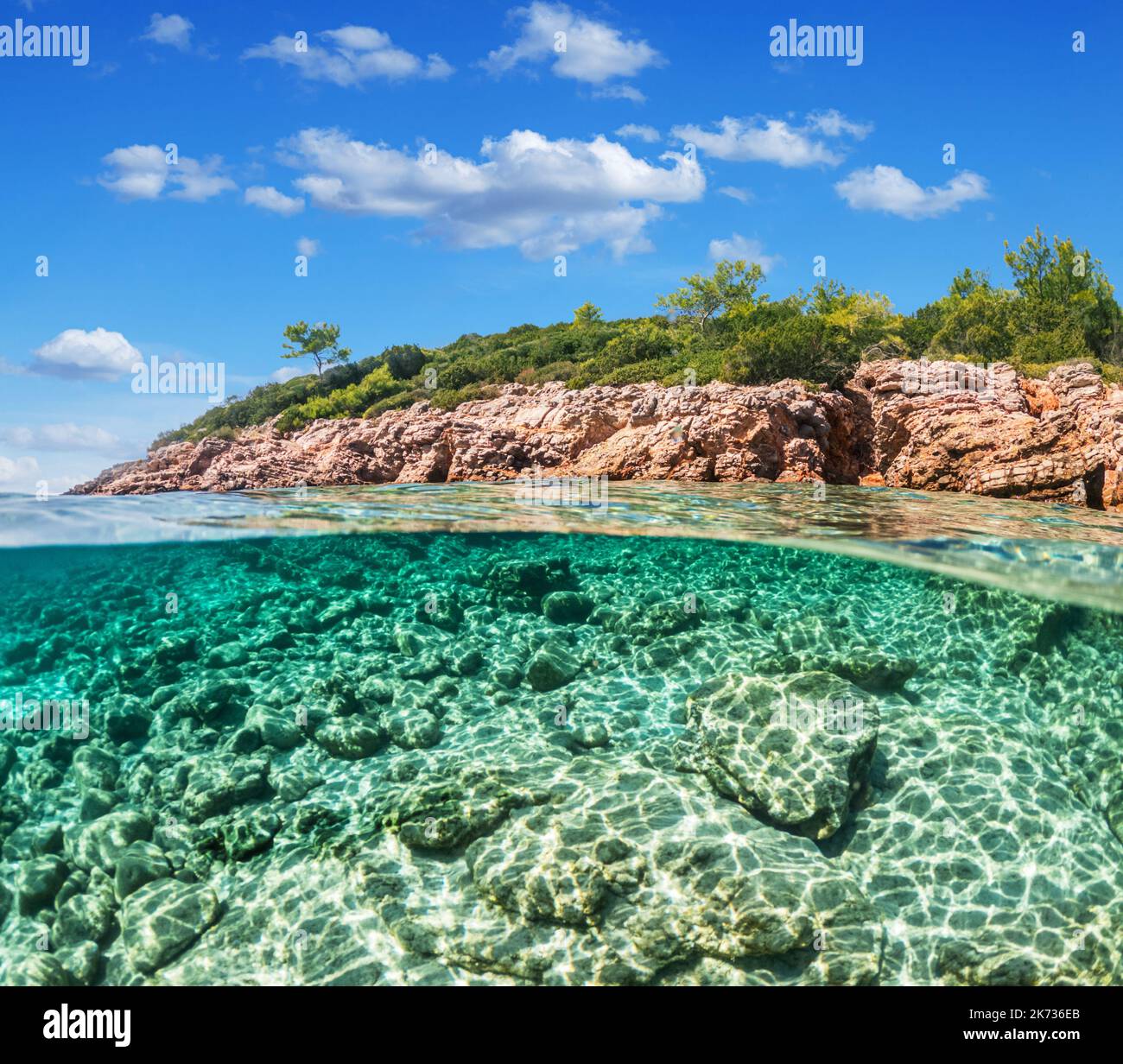 Split view - half underwater view of beautiful seabed and rocky coastline with pine trees, Turkey, Bodrum. Stock Photo