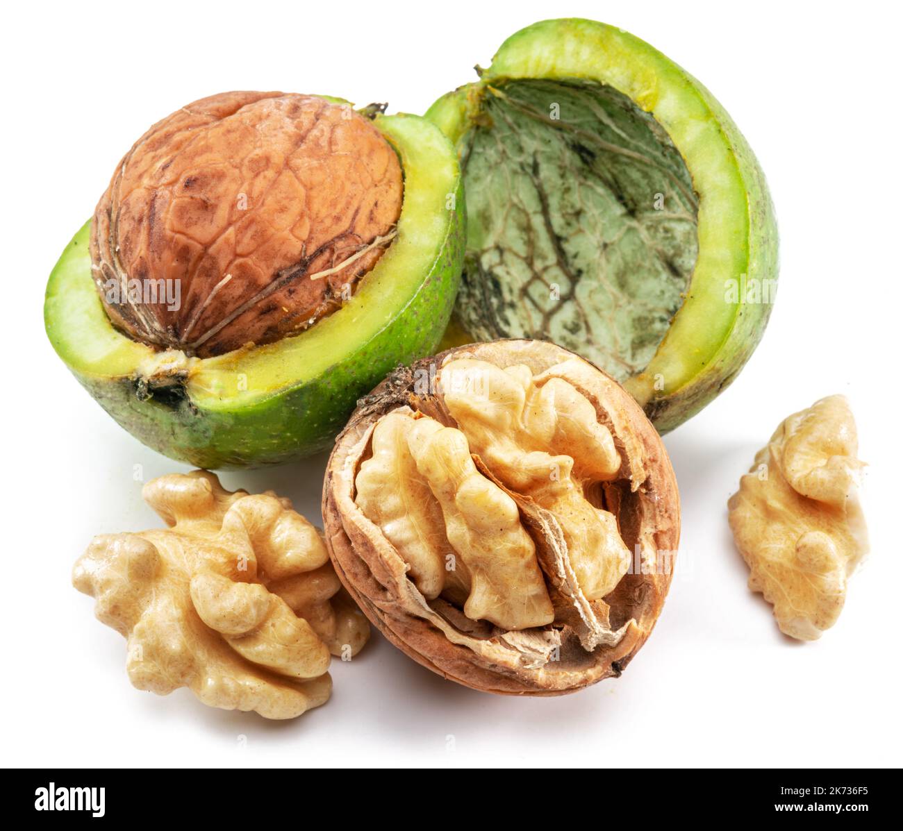 Fresh walnut in green husk, part of husk and walnut kernel isolated on white background. Stock Photo