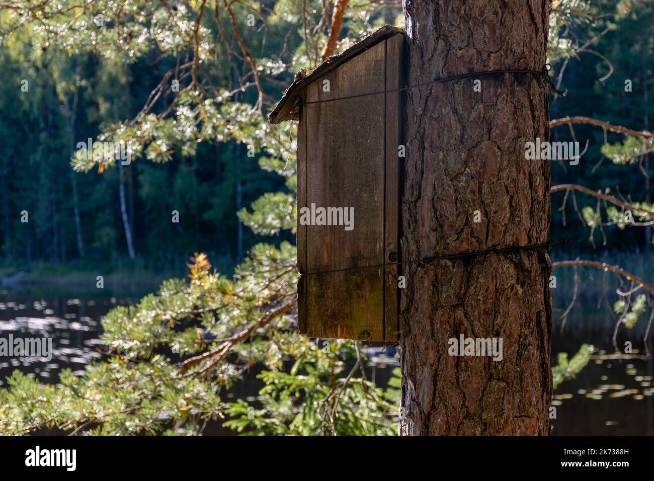 Wooden birdhouse tied to a tree with a forest pond in the background Stock Photo