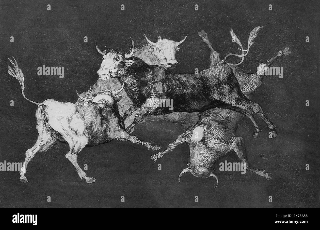 Folly of Little Bulls, Little Bulls Folly, Francisco Goya, Los Disparates, Los Proverbios, The Follies, 1815-1824, Museum Berggruen, Berlin, Germany, Stock Photo