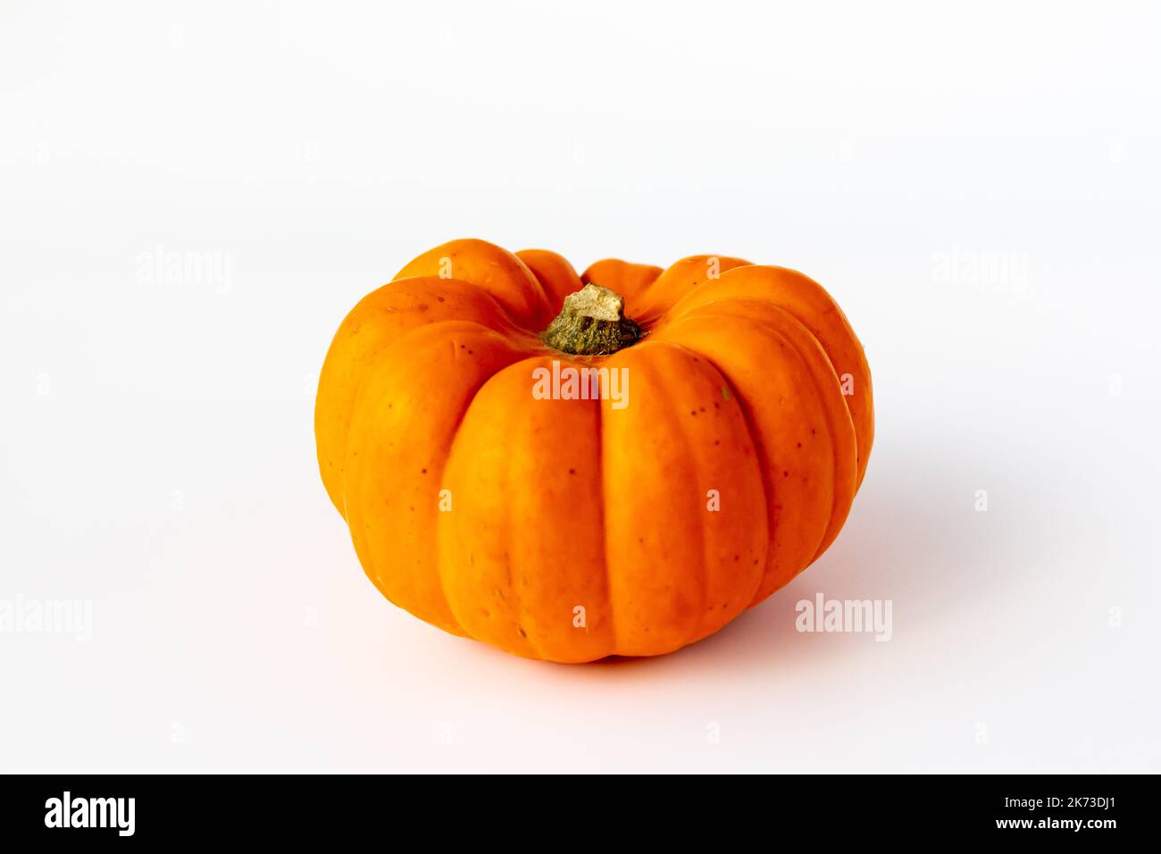 Munchkin Pumpkin on a white background Stock Photo