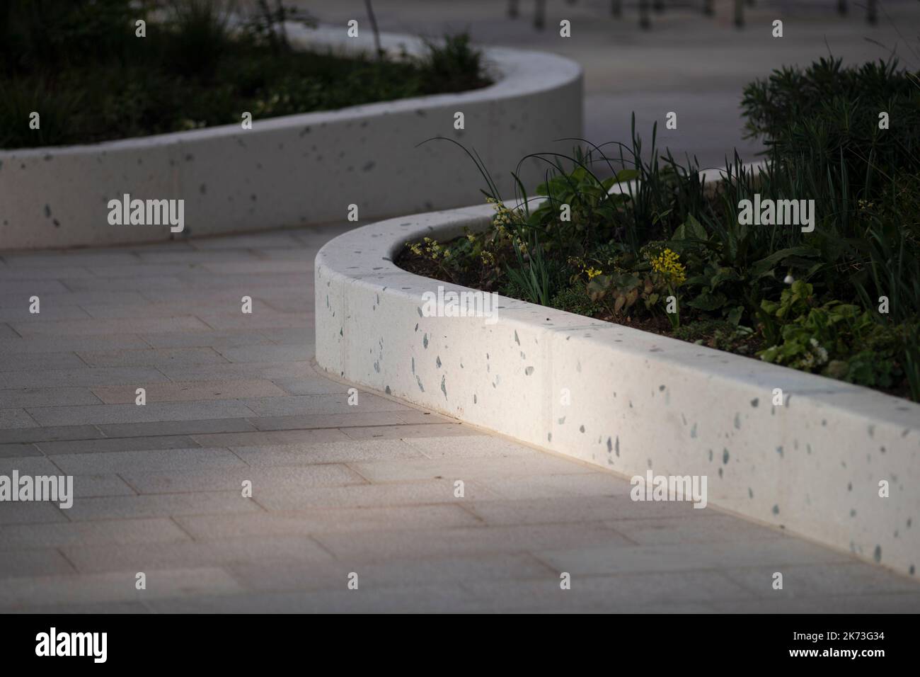 Detail of planting. Exchange Square, London, United Kingdom. Architect: DSDHA, 2022. Stock Photo