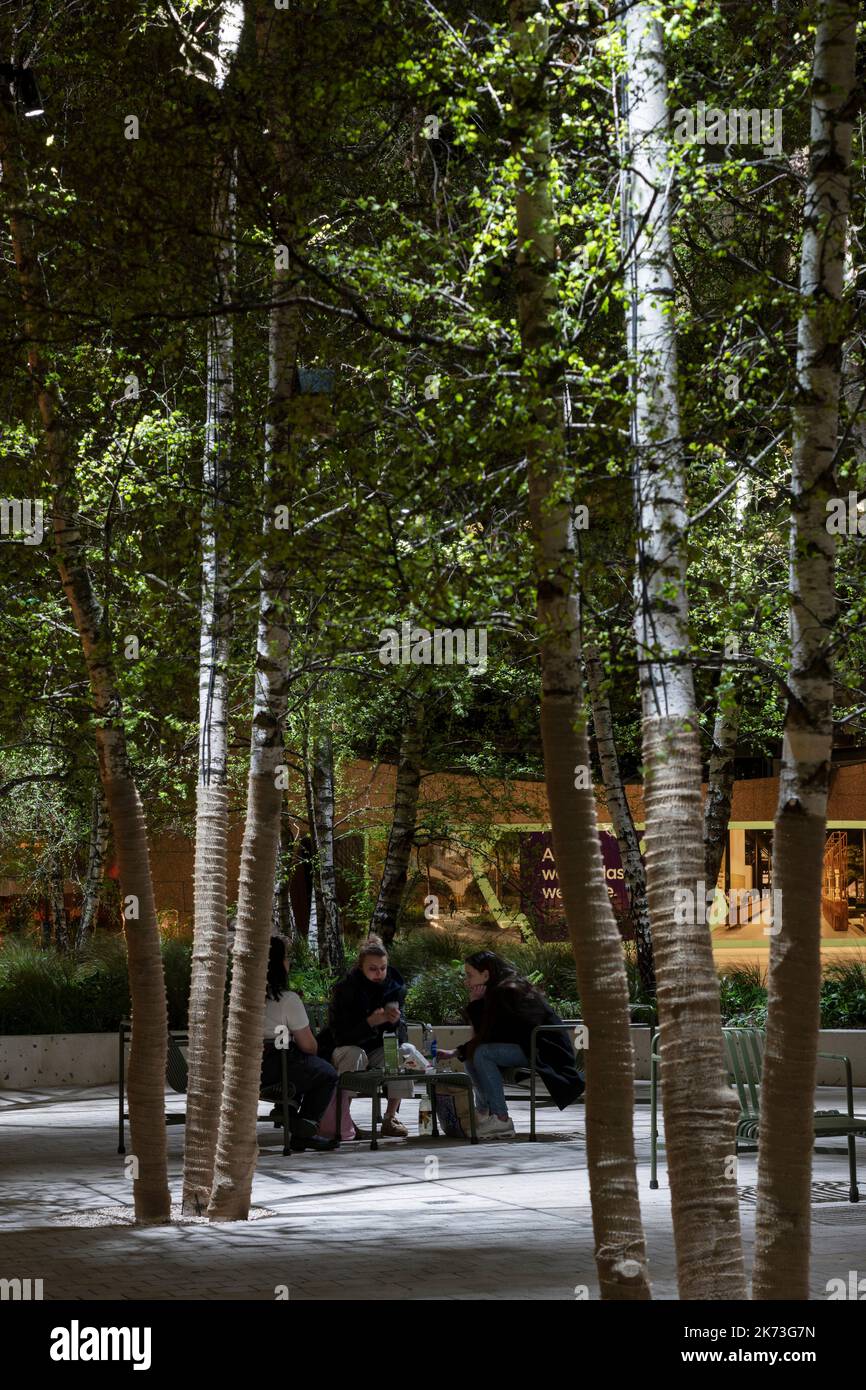 Seating area below trees with white dappled lighting. Exchange Square, London, United Kingdom. Architect: DSDHA, 2022. Stock Photo
