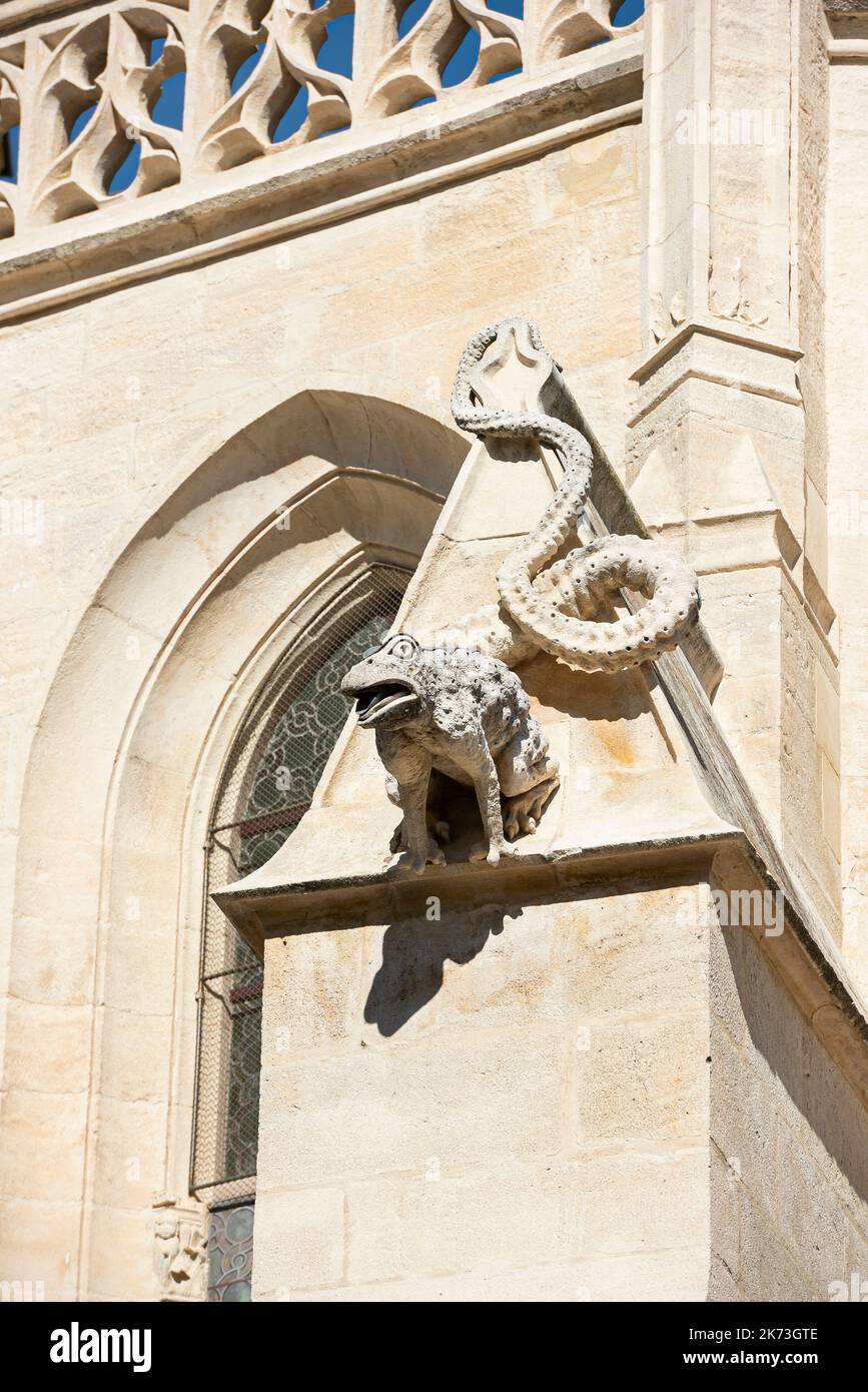Gargoyle of the Collegiate Church of Notre-Dame-des-Anges, formerly called the Basilica of Saint-Laurent, in L'Isle-sur-la-Sorgue. France Stock Photo