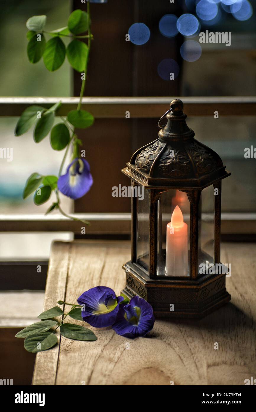 LED lamp with flower still life Stock Photo