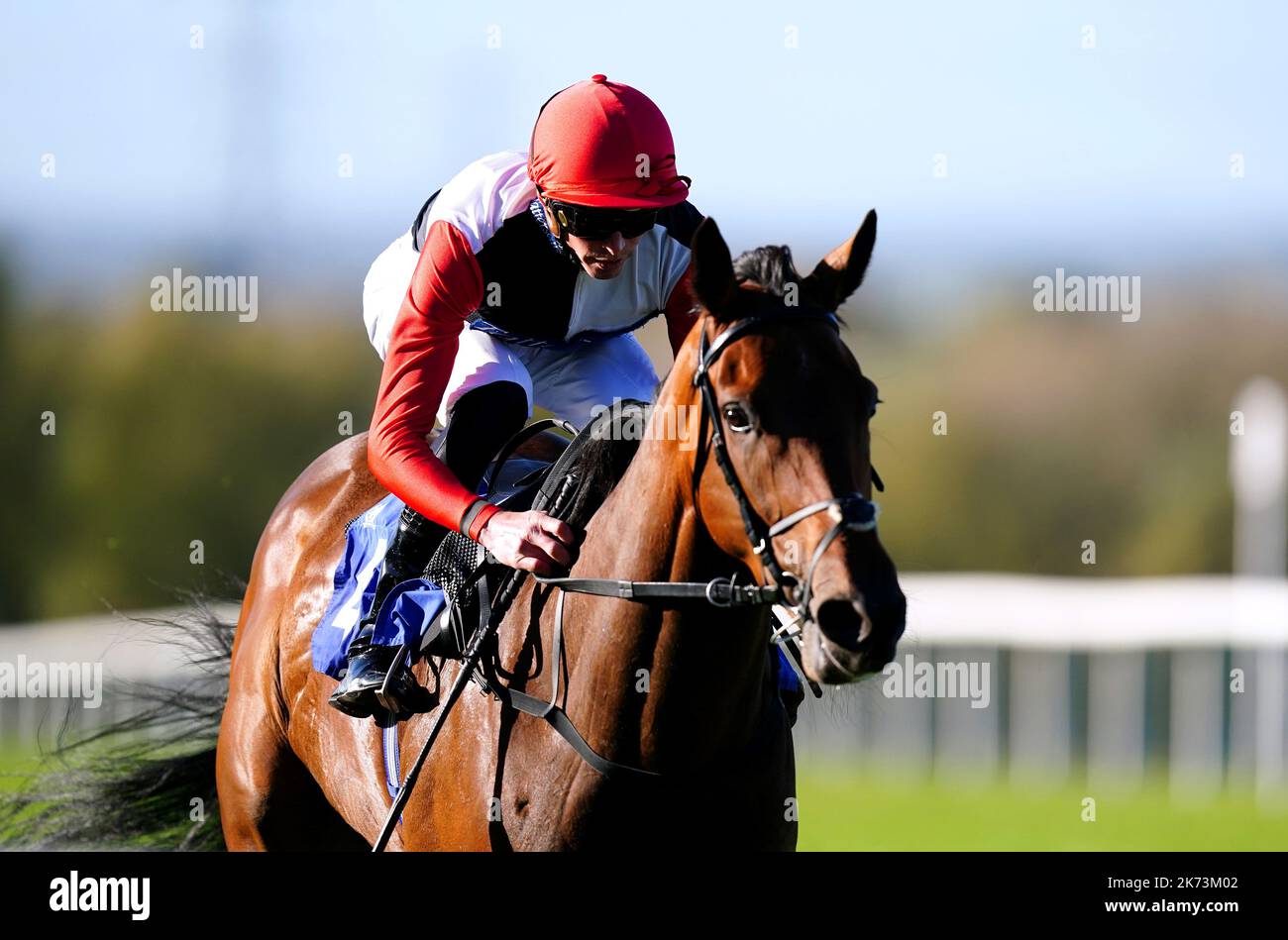 Poker Face ridden by jockey James Doyle on their way to winning the Racing TV Club Day Handicap at Pontefract Racecourse, West Yorkshire. Picture date: Monday October 17, 2022. Stock Photo