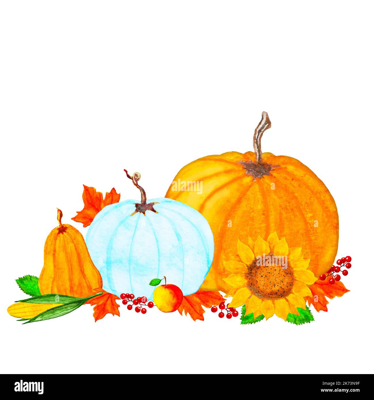 Thanksgiving background, watercolor pumpkins, autumn leaves, berries on white background, watercolor raster Thanksgiving illustration Stock Photo