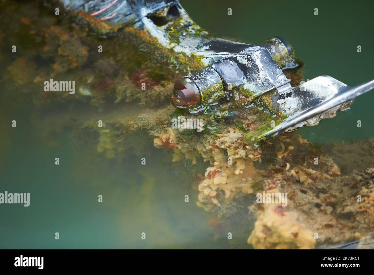 Molluscs, overgrown ship bottom. Shellfish on the hull of the ship. Stock Photo