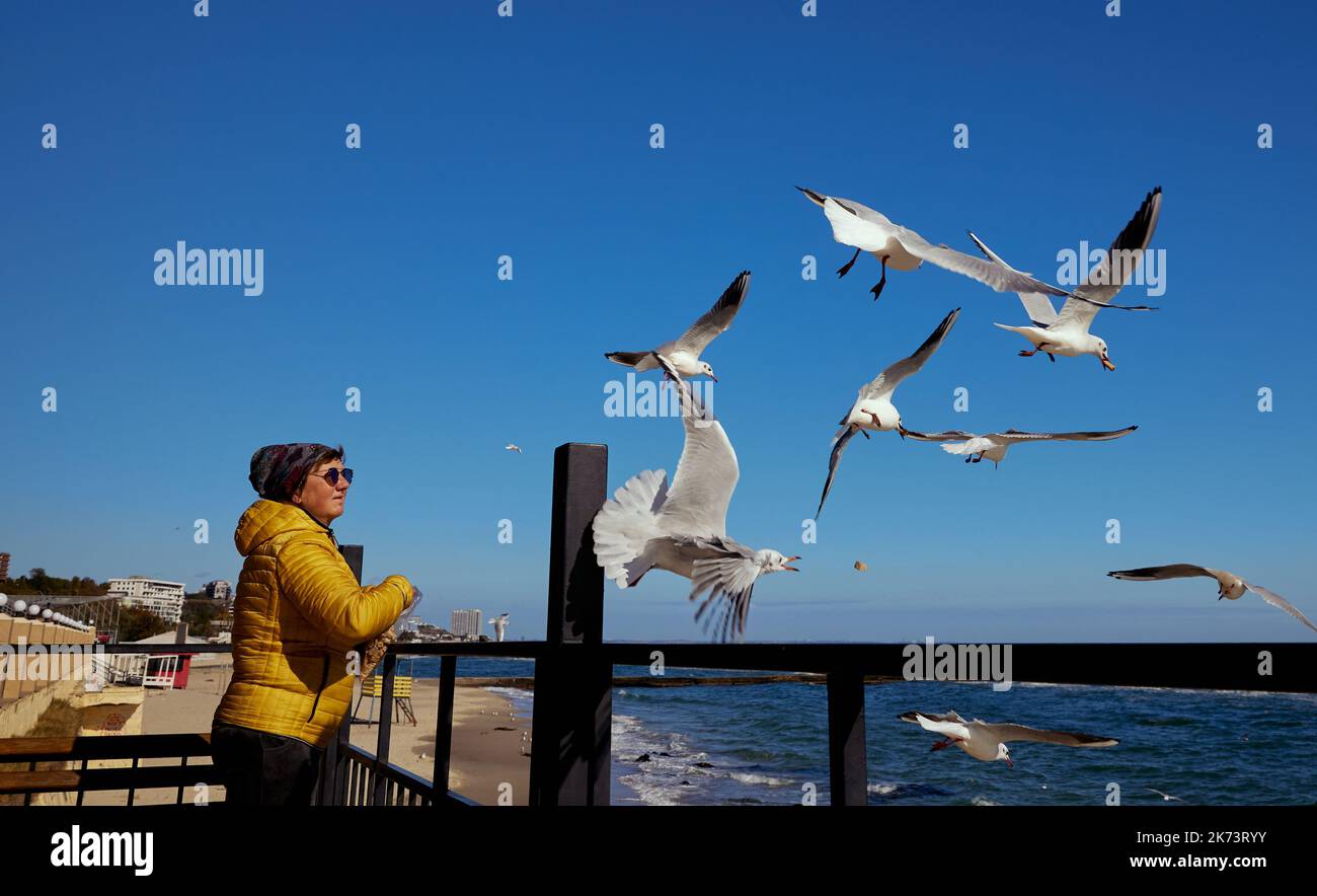 Mature pretty woman feeds seagulls on the playground with the background of the blue sky and the sea Stock Photo