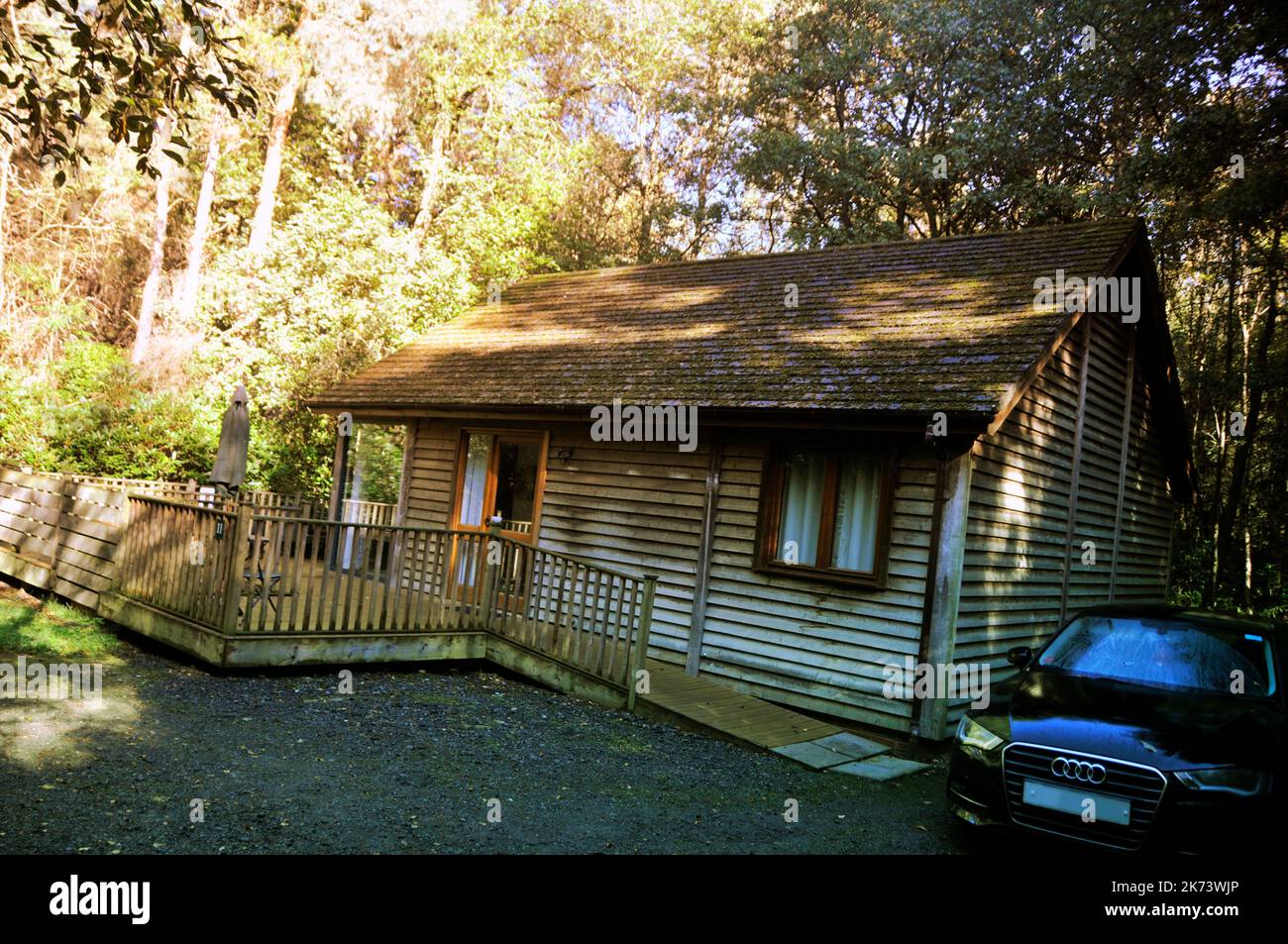 Log cabin forest uk summer hi-res stock photography and images - Alamy