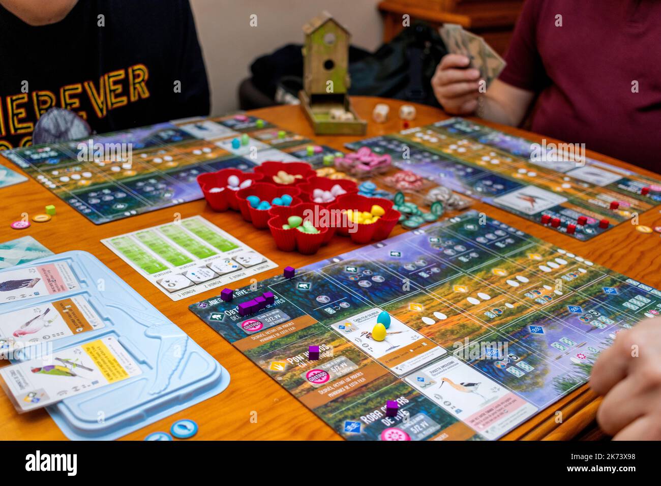 Board game concept. Board game field, many figures, dice and coins