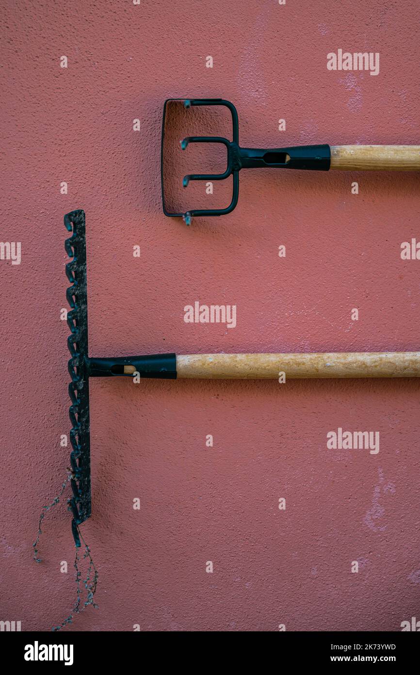 Pitchforks for Garden Work on a Wall Stock Photo