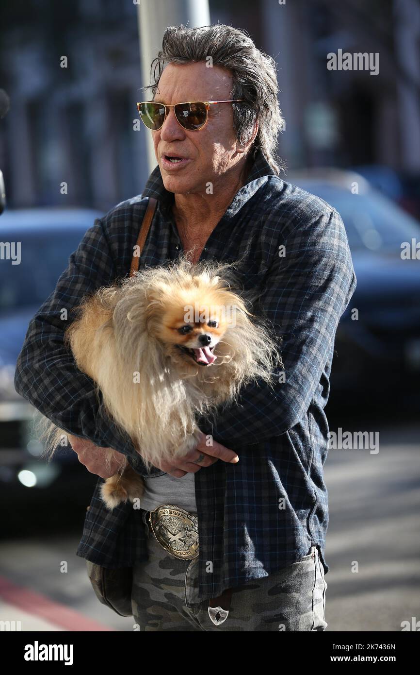 Mickey rourke dog hi-res stock photography and images - Alamy