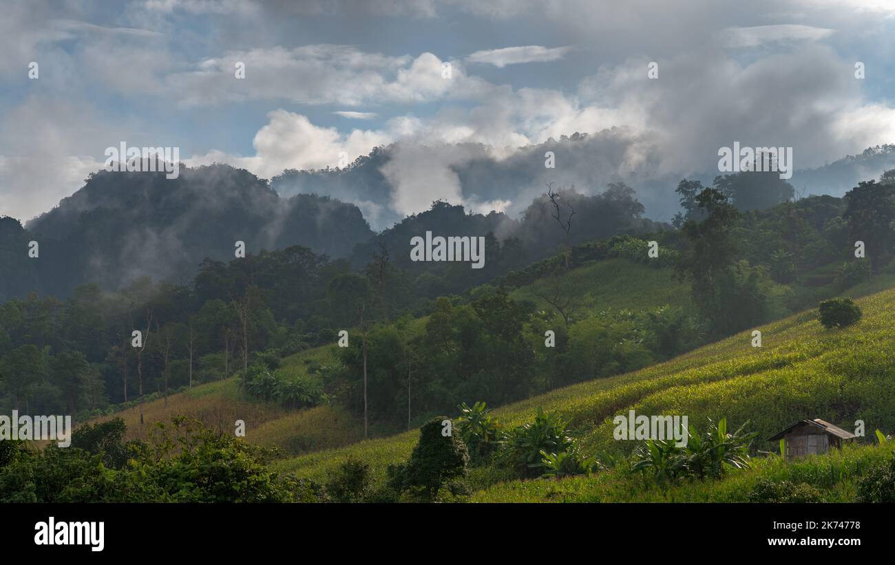 Scenic morning rural landscape panorama during monsoon season in mountain valley near Chiang Dao, Chiang Mai, Thailand Stock Photo