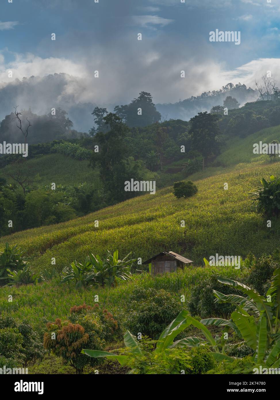 Beautiful morning rural countryside landscape during monsoon season in mountain valley near Chiang Dao, Chiang Mai, Thailand Stock Photo