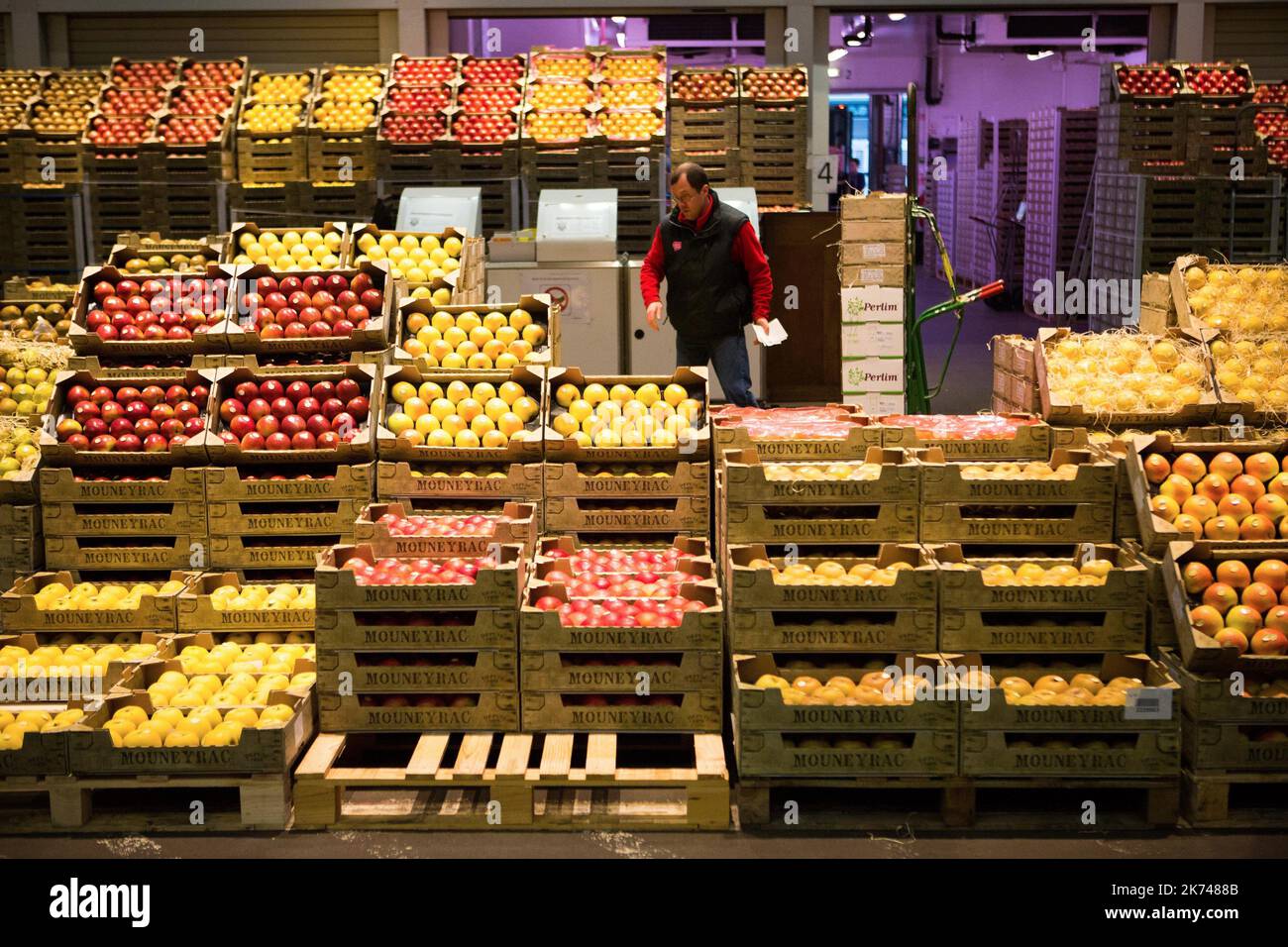 International De Rungis or Rungis International Market Is The 