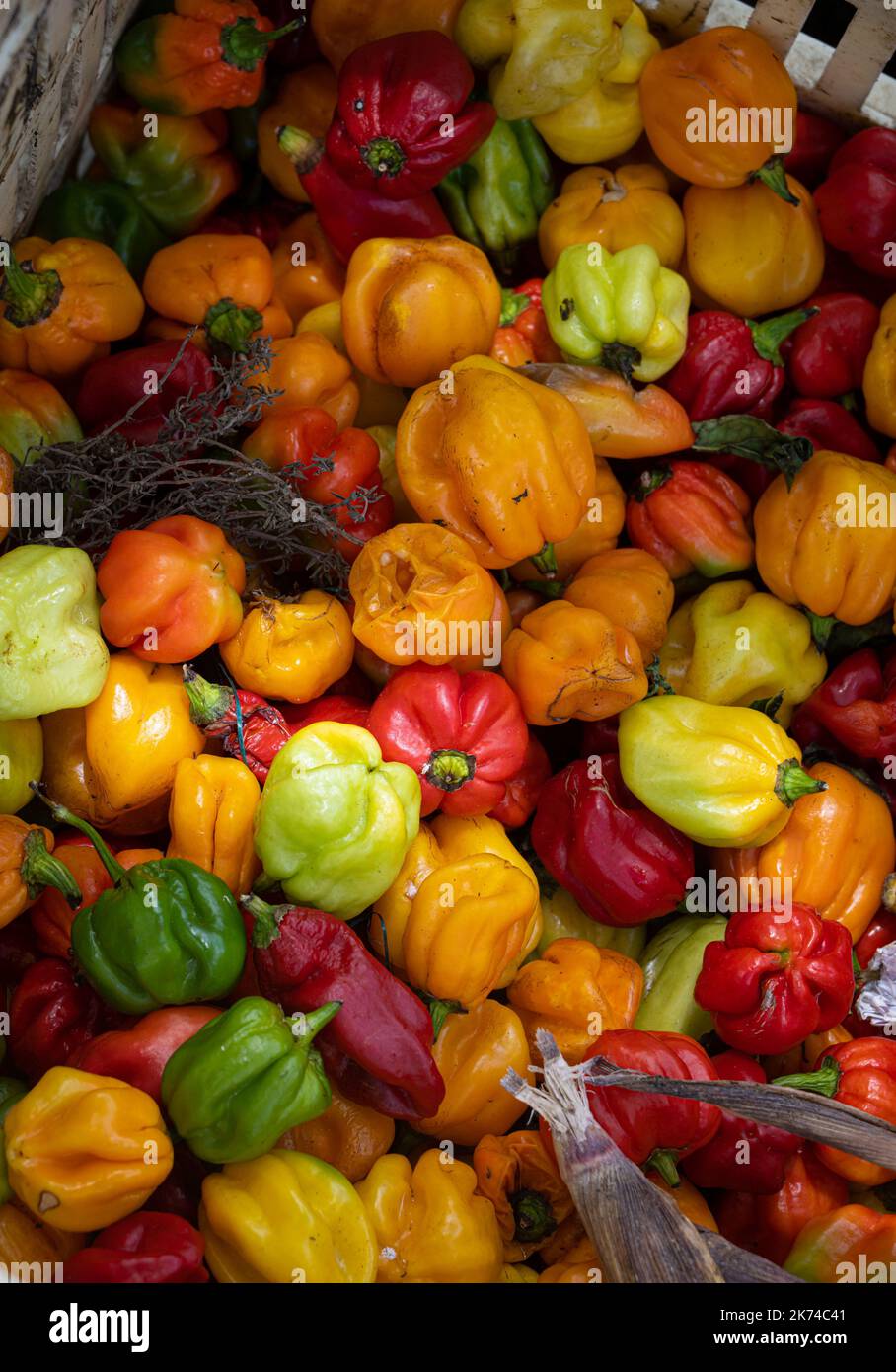 Peppers on sale on market stall in Pointe à Pitre, Guadeloupe, French