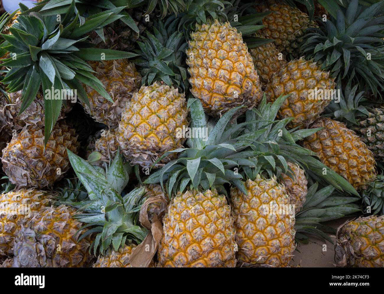 Pineapples on sale on market stall in Pointe à Pitre, Guadeloupe