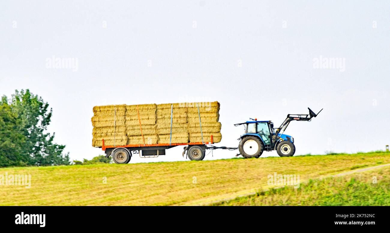 Tractor with trailer loaded with straw bales in Holland, Netherlands, Europe Stock Photo