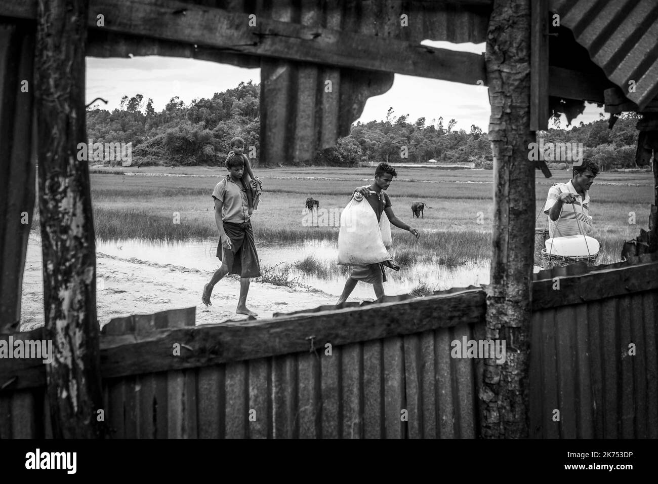 On the border between Burma and Bangladesh, the mass exodus of the