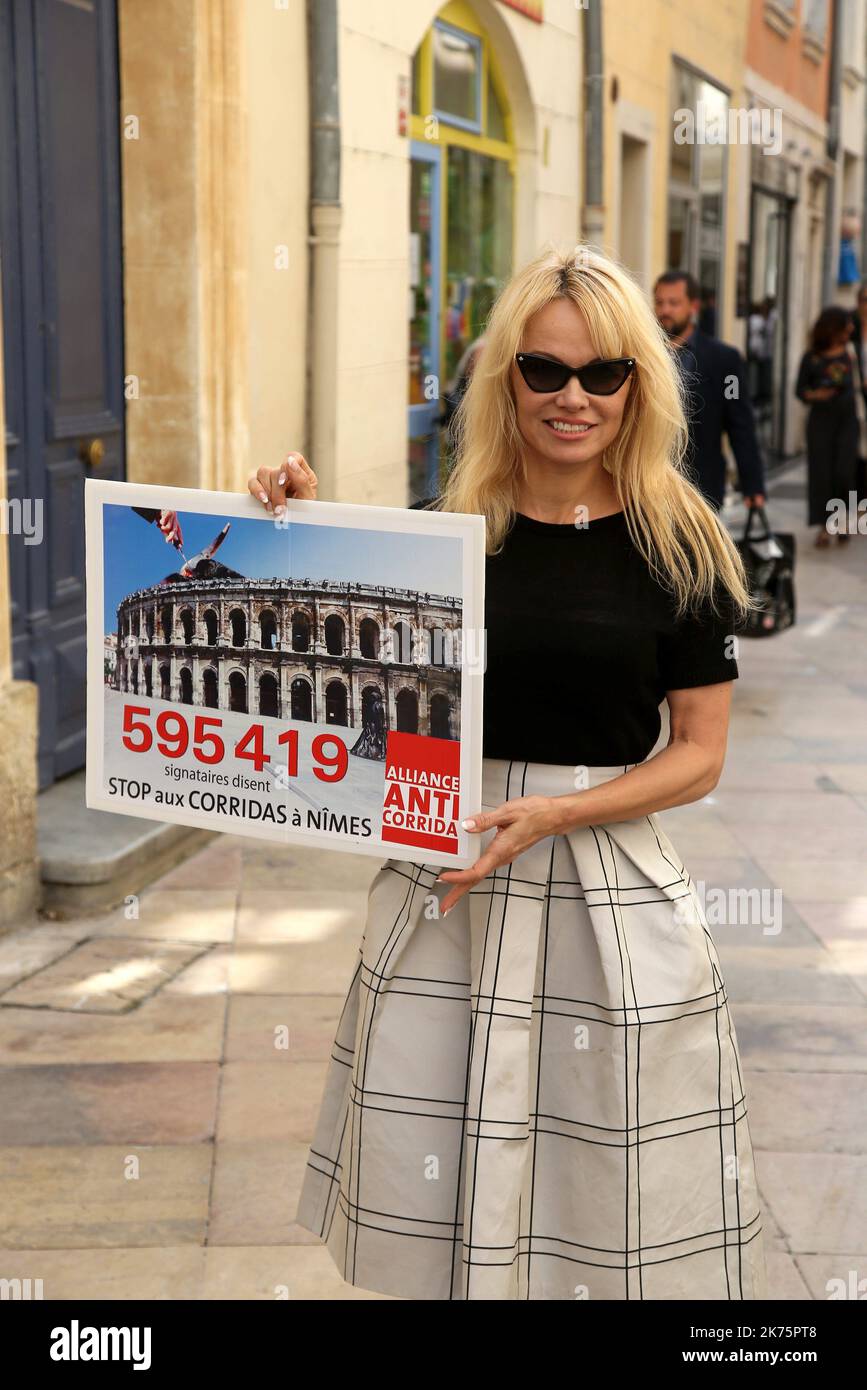 American actress Pamela Anderson and association Alliance anti corrida have filed in the town hall of Nimes a petition for the ban on bullfighting Stock Photo